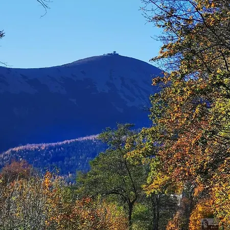 酒店 维瓦尔第酒店 卡尔帕奇