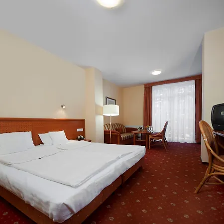 维瓦尔第酒店 3* 卡尔帕奇