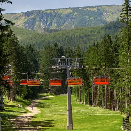 酒店 维瓦尔第酒店 卡尔帕奇